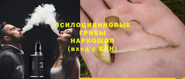 mdpv Балахна