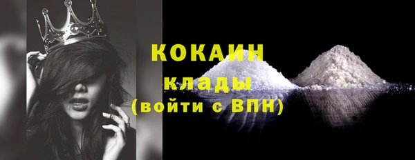 прущие грибы Аркадак