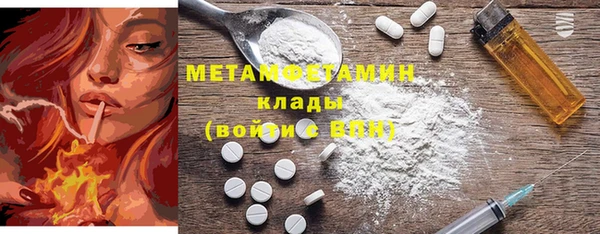 прущие грибы Аркадак