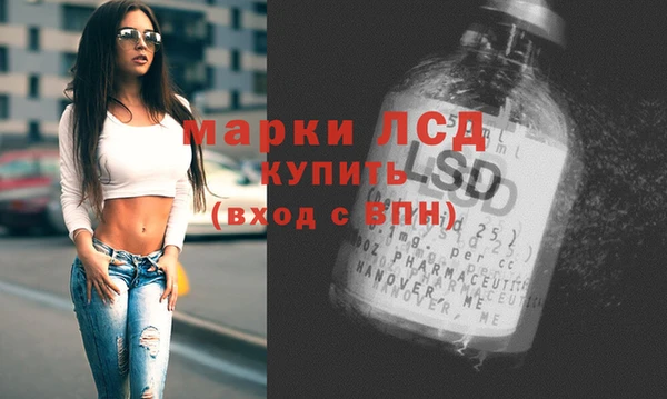 прущие грибы Аркадак