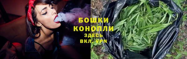 МДПВ Дмитров